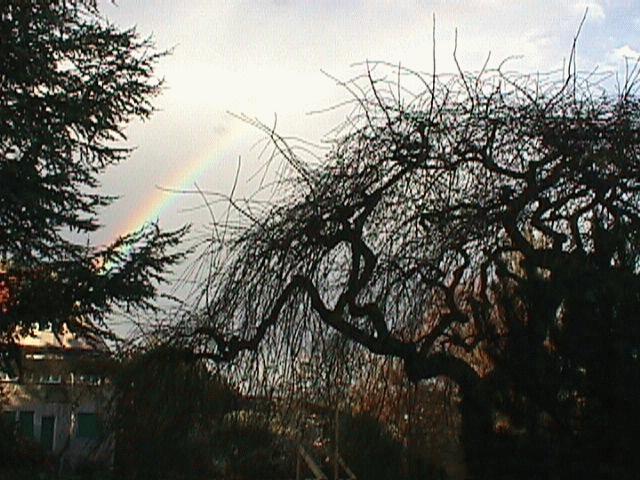 rainbow.jpg (70864 Byte)